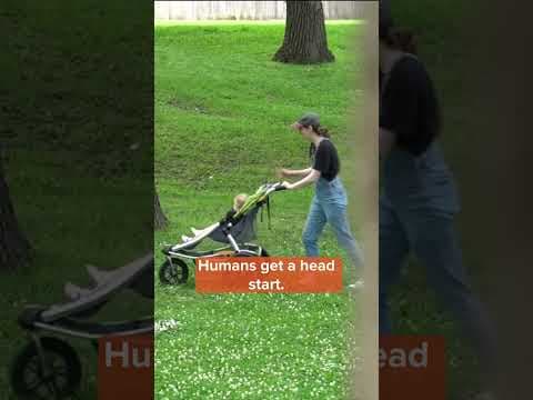 Experts tell Minnesotans to brace for wave of mosquitos