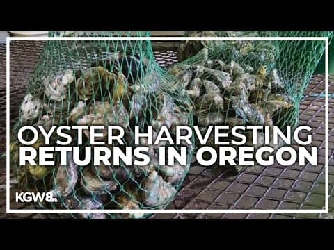 FDA warns of toxins in Oregon and Washington shellfish, affecting local businesses