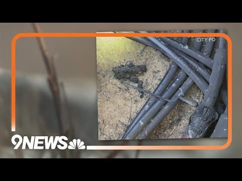 Police looking for electrocuted, possibly 'semi-nude' person who cut a wire, causing explosions