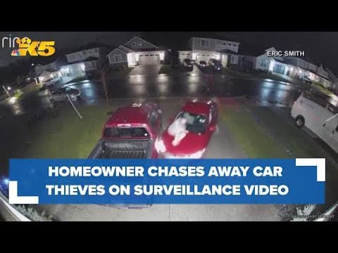 Surveillance video captures South Hill homeowner chasing away car thieves