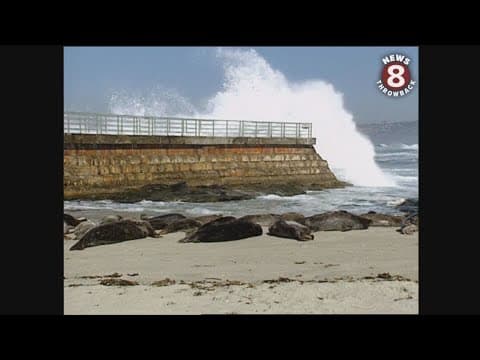 Scripps Institution of Oceanography global warming studies in 1995