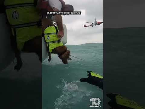 Coast Guard rescues man, dog in the Gulf of Mexico as Hurricane Helene approaches #shorts