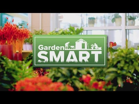 Garden Smart: Adding color to your garden with summer annuals