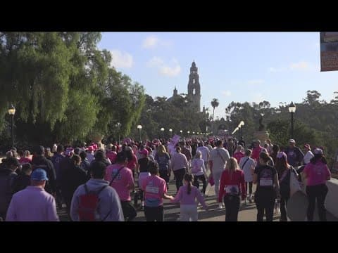 Thousands participate in Susan G. Komen More Than Pink Walk 2024