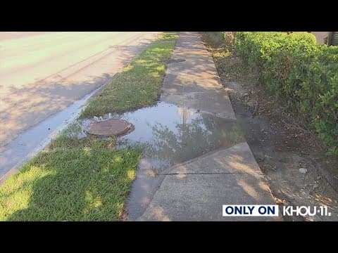 This part of Pasadena has been dealing with a nasty sewage leak for nearly a year