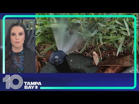 St. Pete residents can now water lawn twice a week