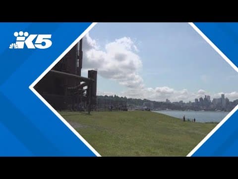 Ballard teen killed in fall at Gas Works Park
