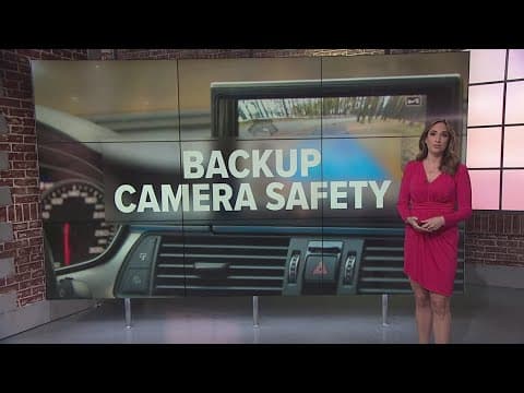 Backup camera safety