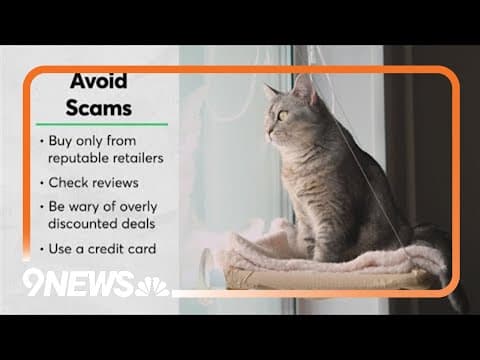 Pet owners face growing threats from counterfeit products, BBB warns