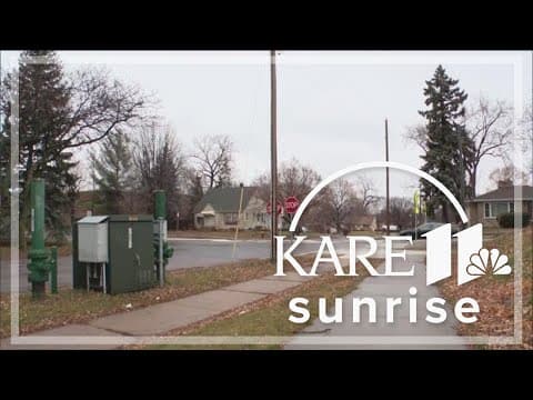 St. Paul crash kills pedestrian and his dog