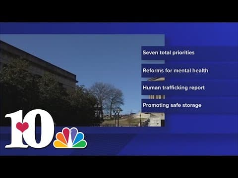 Gov. Lee officially calls for special legislative session Aug. 21 focusing on public safety