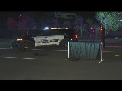2 pedestrians hit and killed by car in Oceanside