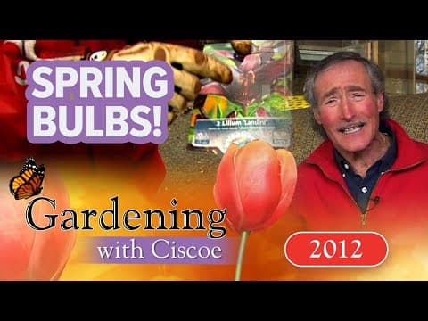 SPRING BULBS! Tips to Jump Start Spring Planting! | Gardening With Ciscoe | Full Episode
