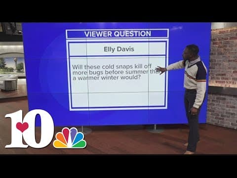 Does cold weather kill bugs?