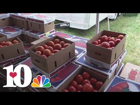 Grainger Co. community celebrating tomatoes 30 years in a row