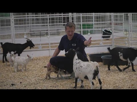 State Fair of Texas petting zoo a fan favorite