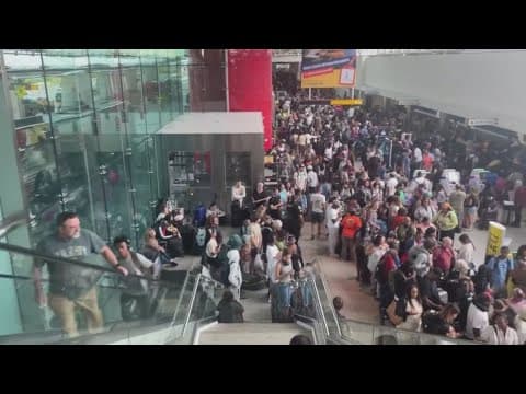 BWI Airport sees long lines, lots of flight delays and cancellations