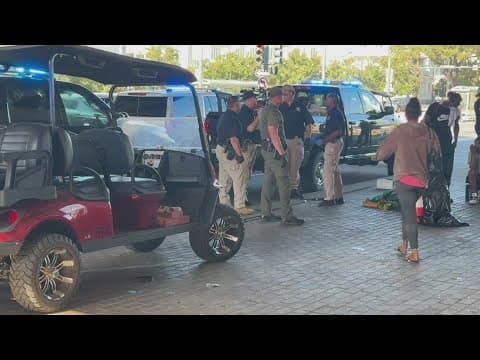 Louisiana Supreme Court declares that state police can clear New Orleans encampments