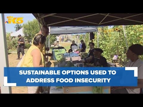 Organizations use sustainable options to help address food insecurity