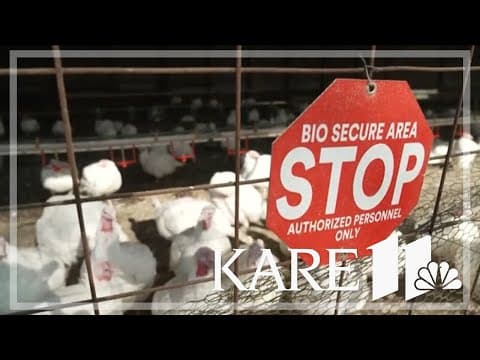 Bird flu is becoming a growing concern in the US