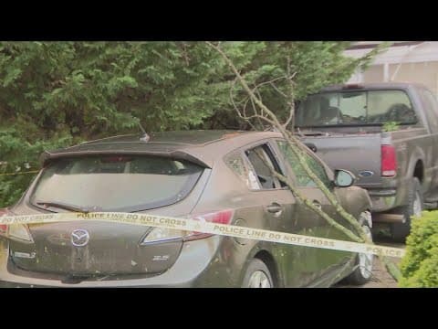 A look at the aftermath of tornadoes touching down in the DMV