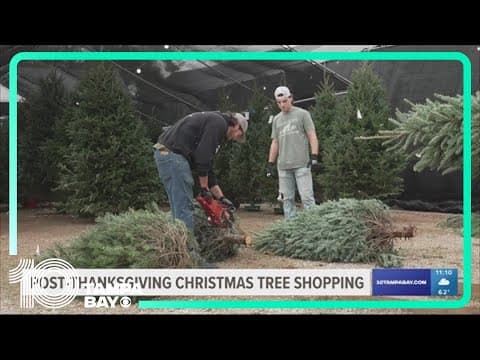 'It's the best time': Families shop for Christmas trees on Black Friday