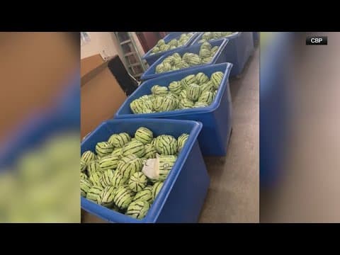 Man caught trying to smuggle 2 tons of meth disguised as watermelon
