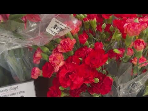 Motion looks to change City of San Diego's official flower