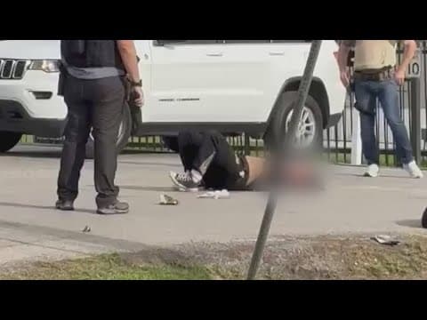 Houston woman faces charges for allegedly going after federal agents with machete