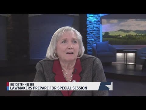 TN legislature will consider vouchers, immigration and Helene aid during special session