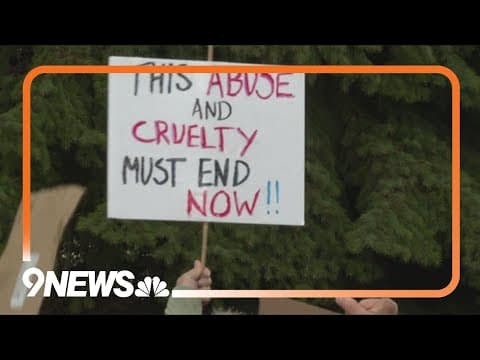 Small group protests Fort Collins animal research lab cited for welfare violations