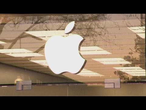 Apple shareholders reject conservative proposal to scrap company's DEI programs
