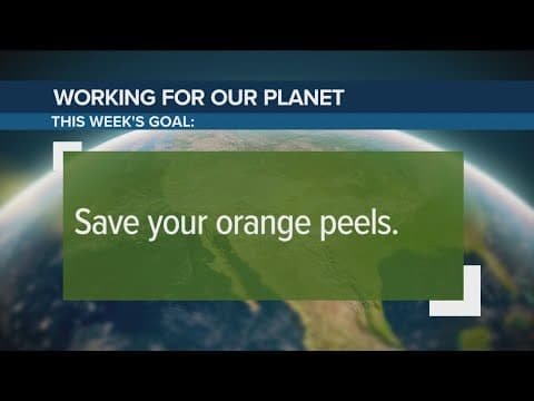 Using orange peels outside can help deter bugs | Working for Our Planet