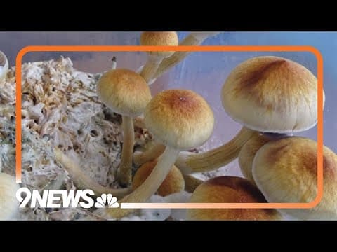 Man accused of distributing mushrooms to minors, sexually assaulting teen