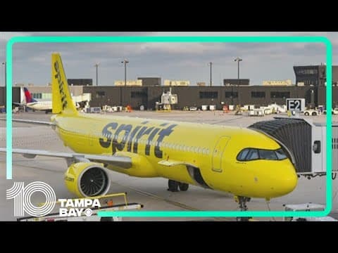 Haitian gangs open fire on Spirit Airlines flight from Florida