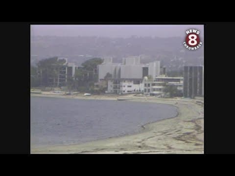 Sail Bay in San Diego 1980