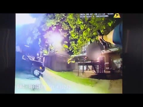 Suspect shot by Dallas police was holding a replica gun, police chief says