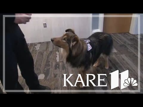 Crystal Police Department gets first facility dog