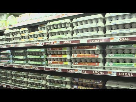 Dept of Justice launches probe into egg prices