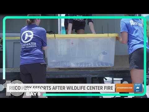 More than 3 dozen exotic animals killed in fire at Florida wildlife center