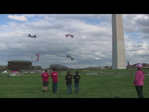 First 200 people at Cherry Blossom Kite Festival get free kites