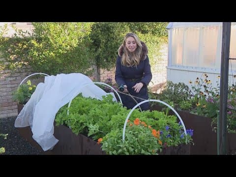 Arctic blast: How to protect your plants before the hard freeze