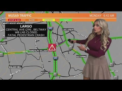 Pedestrian dead after hit-and-run crash in Seat Pleasant