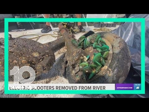 29 electric scooters removed from Hillsborough River