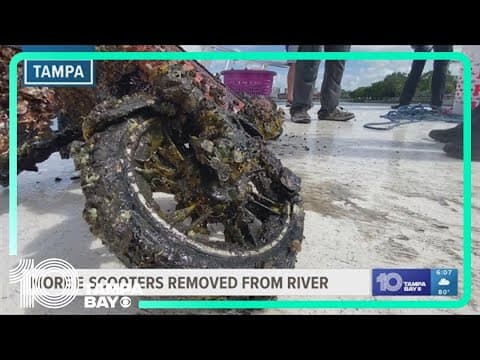 22 more e-scooters removed from the Hillsborough River