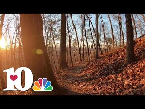 A hike on Sharp's Ridge Loop in Knoxville | 10Explores