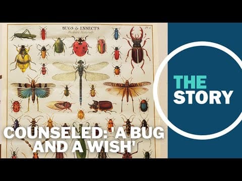 How Portland’s elementary school students are dealing with mental health challenges | Counseled