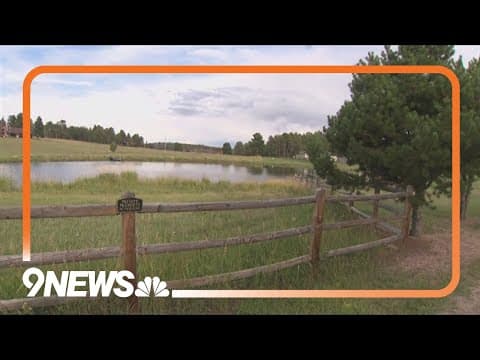 Petition to recall Mountain View council member can move forward, town clerk says