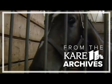 The Horse Barn (1990) | State Fair Archives