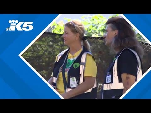 We Heart Seattle providing outreach services to homeless during heatwave